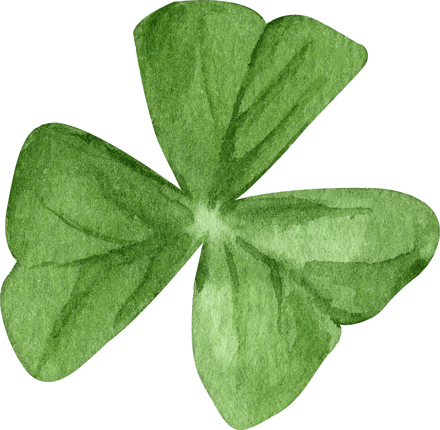 Oxalis Regnelli - Image 6